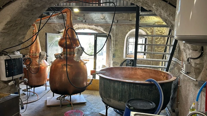 Spiritueux bio Terre Froide : Spiritueux artisanaux bio produits par la Distillerie Terre Froide